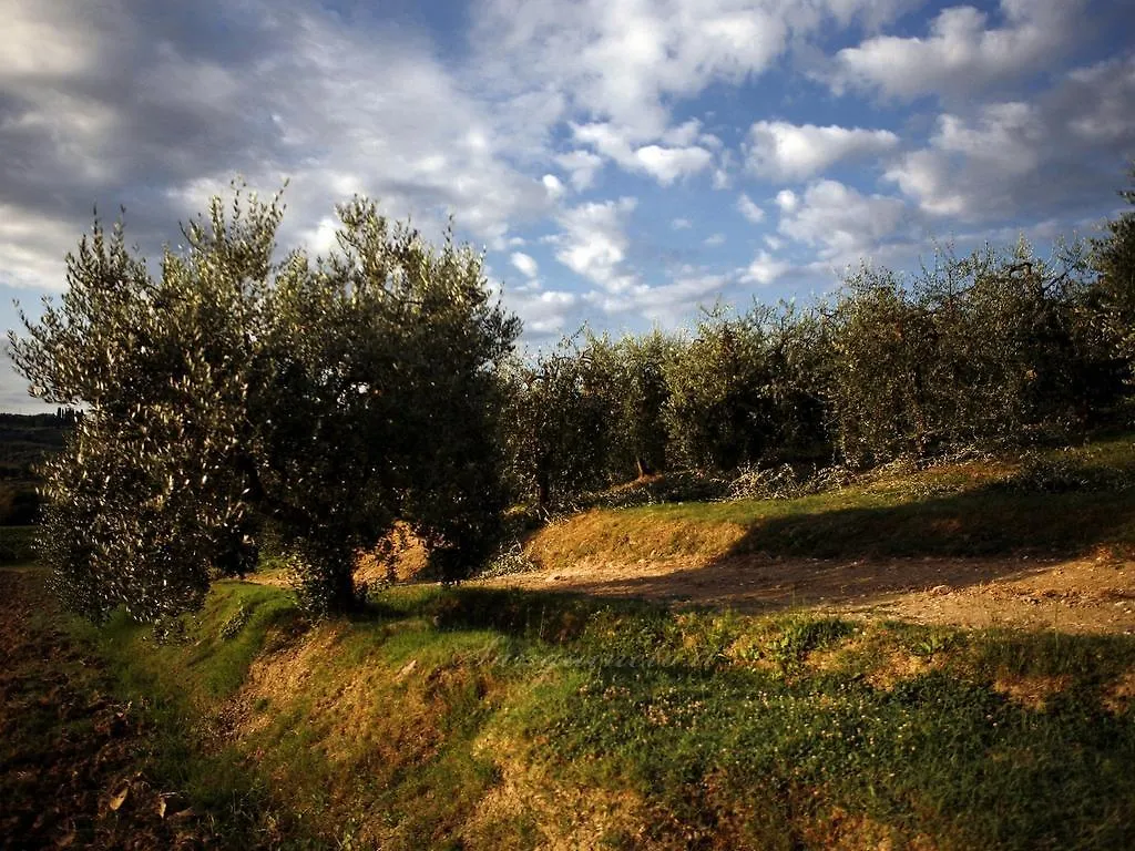 בית כפרי Acquaviva  Agriturismo Sanguineto